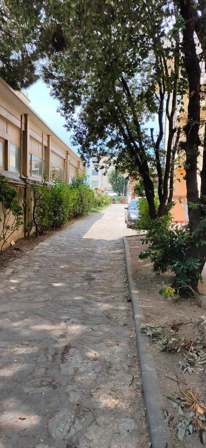 Caravel Appartamentini Lido di Camaiore Dış mekan fotoğraf